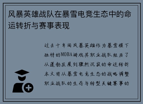 风暴英雄战队在暴雪电竞生态中的命运转折与赛事表现