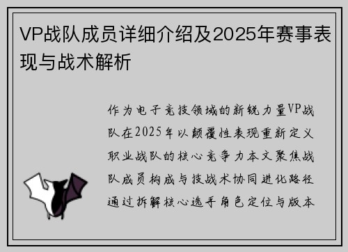 VP战队成员详细介绍及2025年赛事表现与战术解析